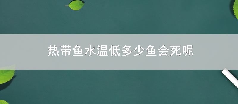 热带鱼水温低多少鱼会死呢