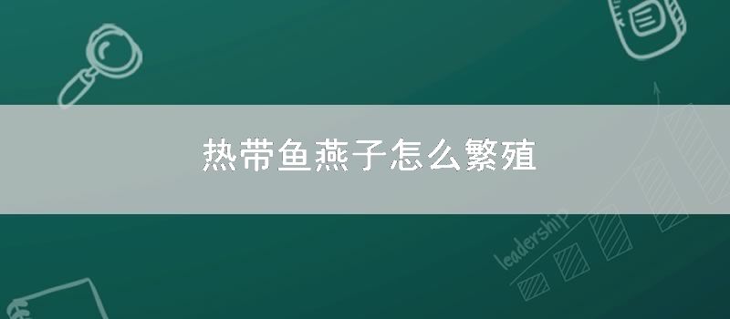 热带鱼燕子怎么繁殖