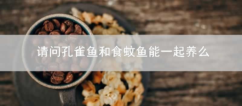 请问孔雀鱼和食蚊鱼能一起养么