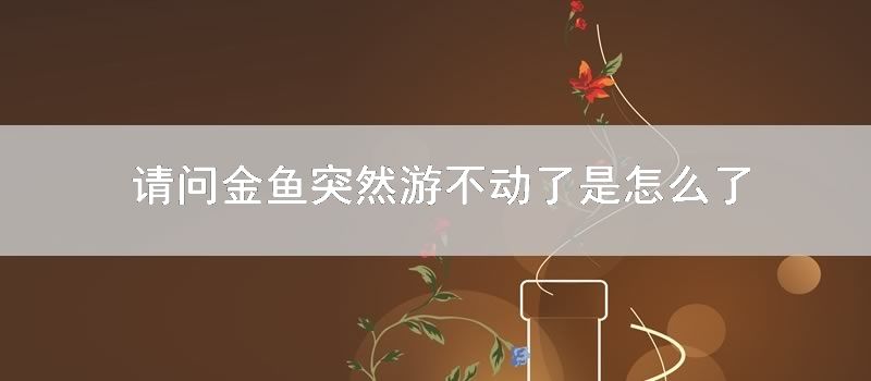 请问金鱼突然游不动了是怎么了
