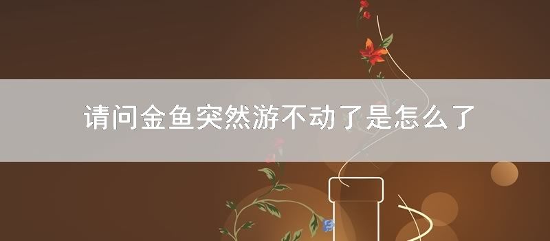 请问金鱼突然游不动了是如何了