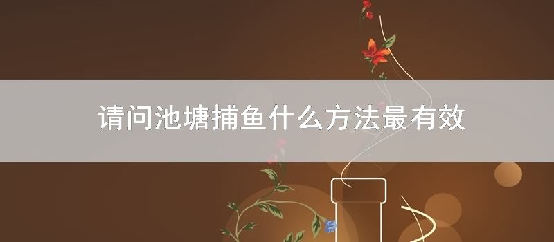 请问池塘捕鱼什么方法最有效