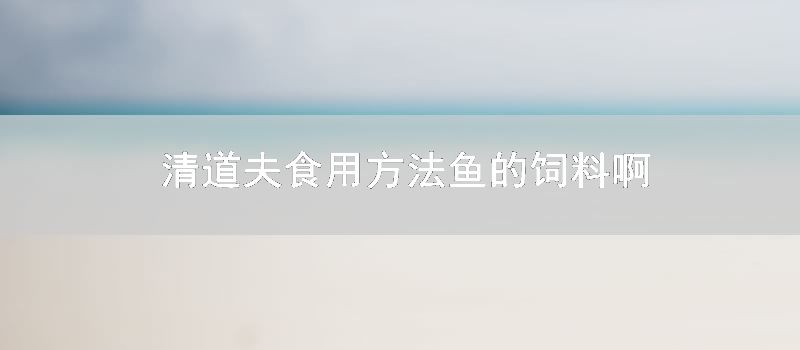 清道夫食用要领鱼的饲料啊