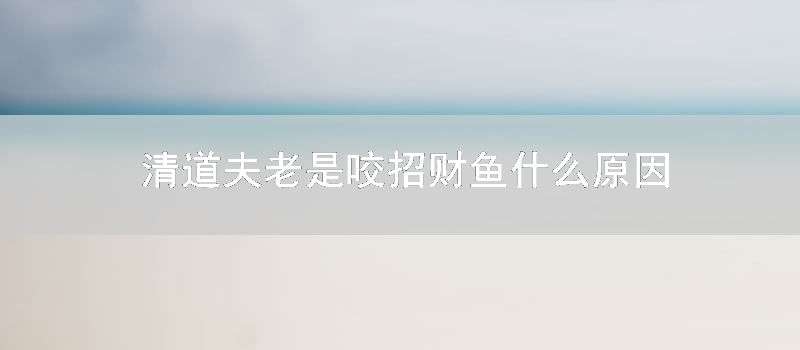 清道夫老是咬招财鱼什么原因