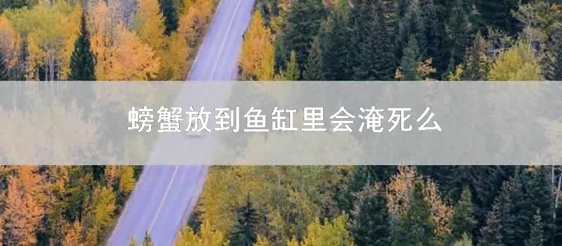 螃蟹放到鱼缸里会淹死么