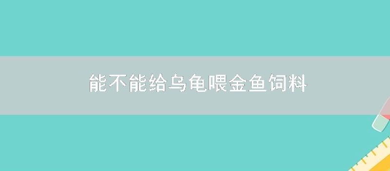 能不能给乌龟喂金鱼饲料