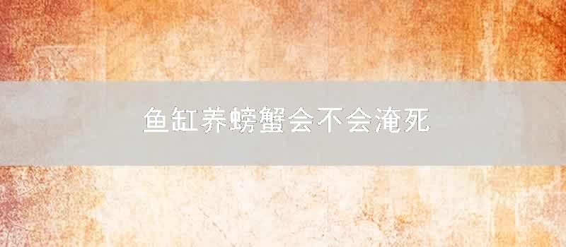 鱼缸养螃蟹会不会淹死