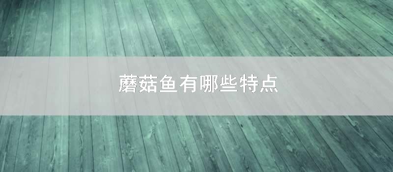 蘑菇鱼有哪些特点