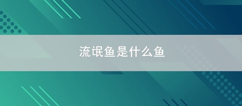 流氓鱼是什么鱼
