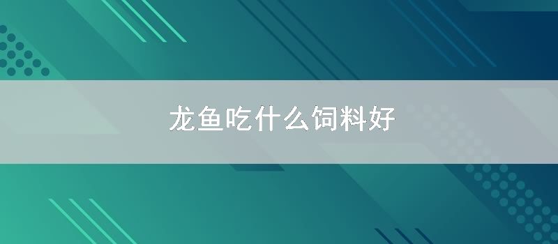 龙鱼吃什么饲料好