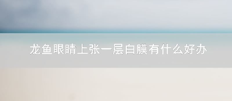 龙鱼眼睛上张一层白膜有什么好方法啊