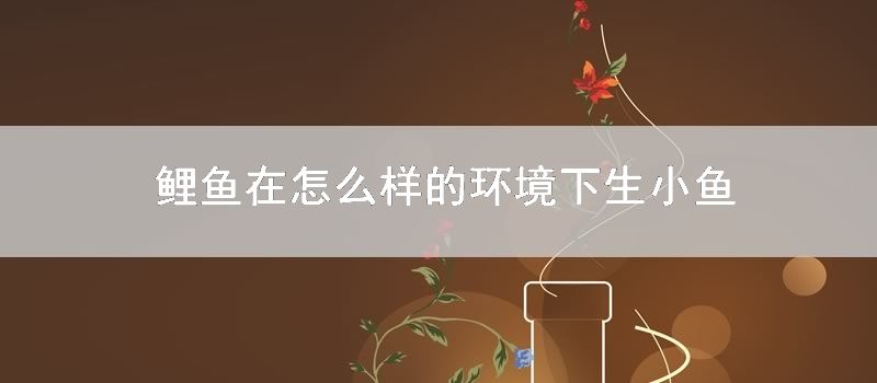 鲤鱼在怎么样的环境下生小鱼