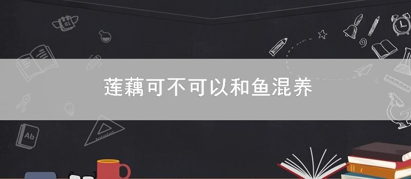 莲藕可不可以和鱼混养