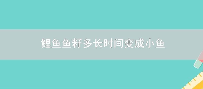 鲤鱼鱼籽多长时间变成小鱼