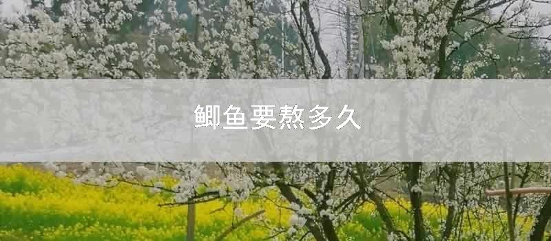 鲫鱼要熬多久