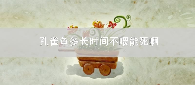 孔雀鱼多长时间不喂能死啊