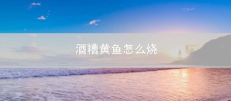 酒糟黄鱼怎么烧