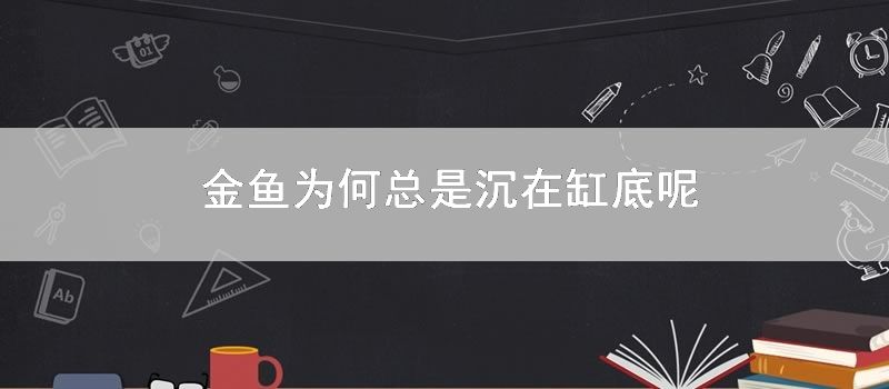 金鱼为何总是沉在缸底呢