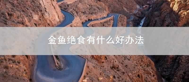 金鱼绝食有什么好办法