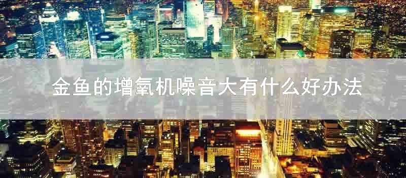 金鱼的增氧机噪音大有什么好办法