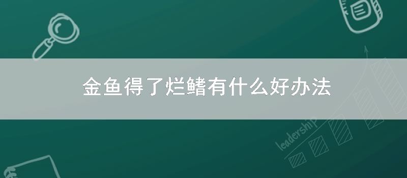 金鱼得了烂鳍有什么好办法