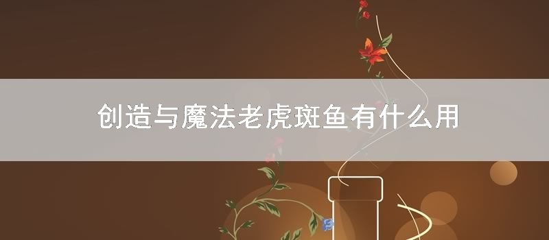 创造与魔法老虎斑鱼有什么用