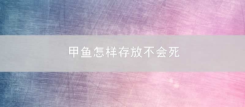 甲鱼如何存放不会死