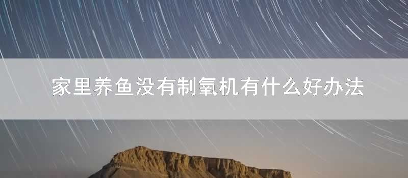 家里养鱼没有制氧机有什么好方法