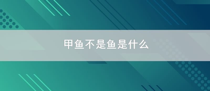 甲鱼不是鱼是什么