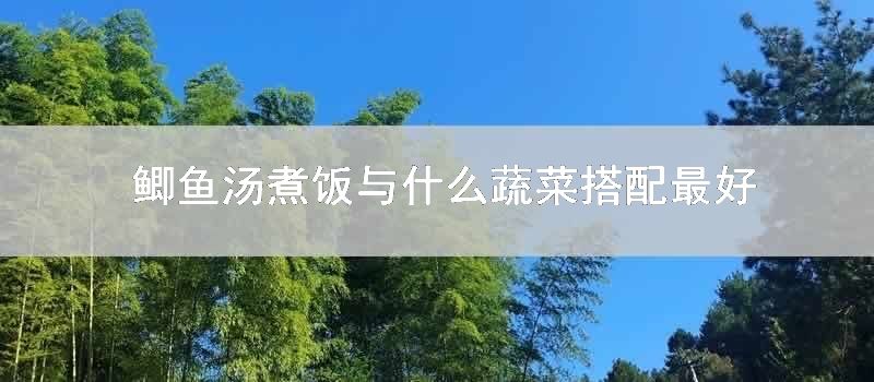 鲫鱼汤煮饭与什么蔬菜搭配最好