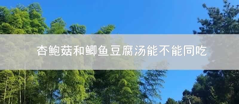 杏鲍菇和鲫鱼豆腐汤能不能同吃