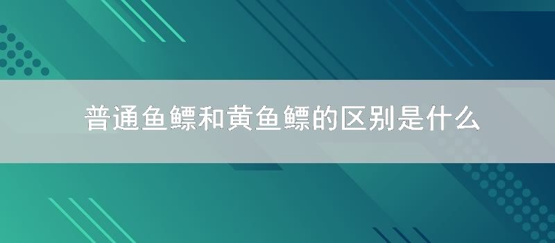 普通鱼鳔和黄鱼鳔的区别是什么