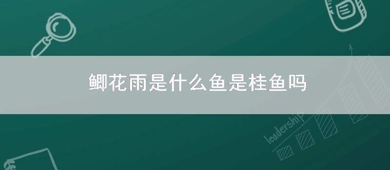 鲫花雨是什么鱼是桂鱼吗