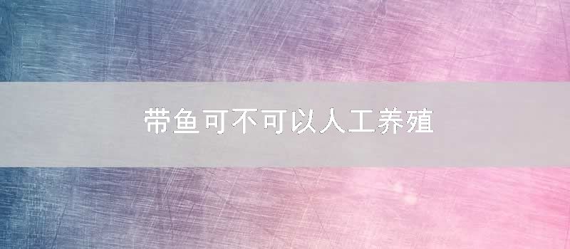 带鱼可不可以人工养殖