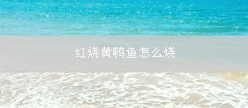 红烧黄鸭鱼怎样烧