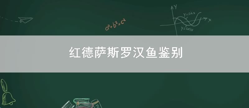 红德萨斯罗汉鱼鉴别