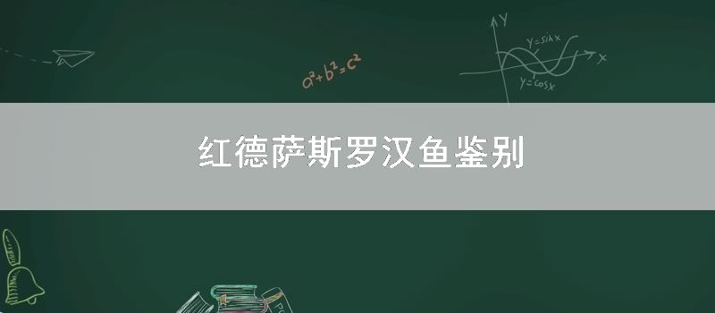 红德萨斯罗汉鱼鉴别