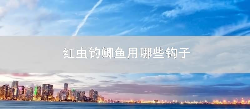 红虫钓鲫鱼用哪些钩子