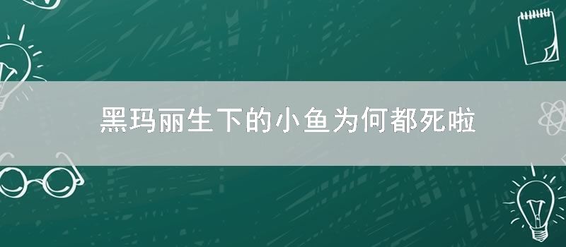 黑玛丽生下的小鱼为何都死啦