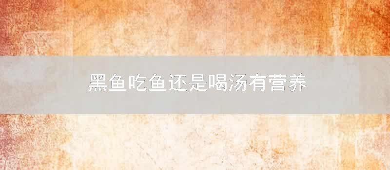 黑鱼吃鱼还是喝汤有营养