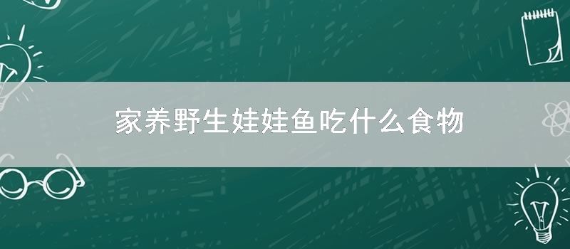家养 野生 娃娃鱼吃什么食物
