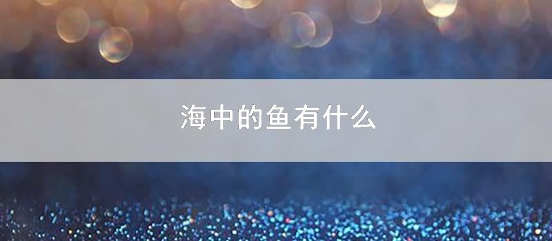 海中的鱼有什么