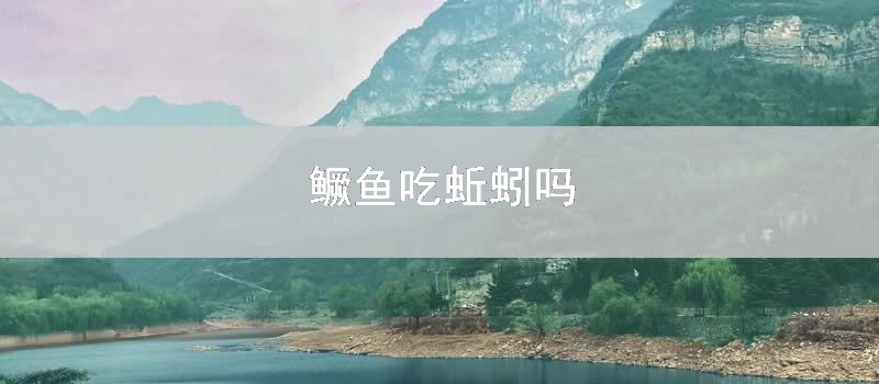 鳜鱼吃蚯蚓吗