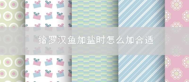 给罗汉鱼加盐时怎么加合适