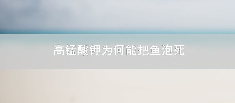 高锰酸钾为何能把鱼泡死