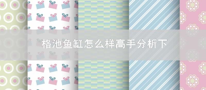 格池鱼缸怎么样高手分析下