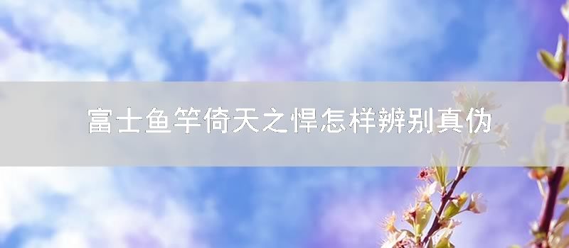 富士鱼竿倚天之悍怎么辨别真伪