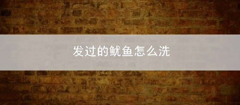 发过的鱿鱼如何洗