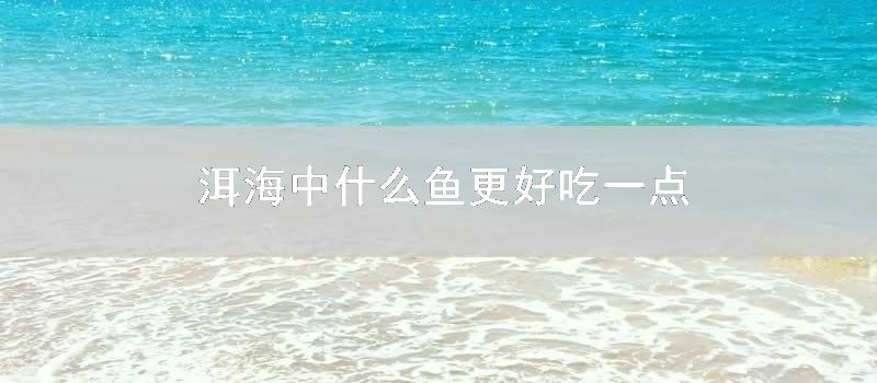 洱海中什么鱼更好吃一点