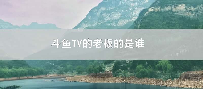 斗鱼TV的老板的是谁